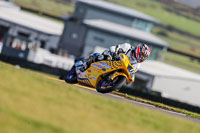 PJ-Motorsport-2019;anglesey-no-limits-trackday;anglesey-photographs;anglesey-trackday-photographs;enduro-digital-images;event-digital-images;eventdigitalimages;no-limits-trackdays;peter-wileman-photography;racing-digital-images;trac-mon;trackday-digital-images;trackday-photos;ty-croes